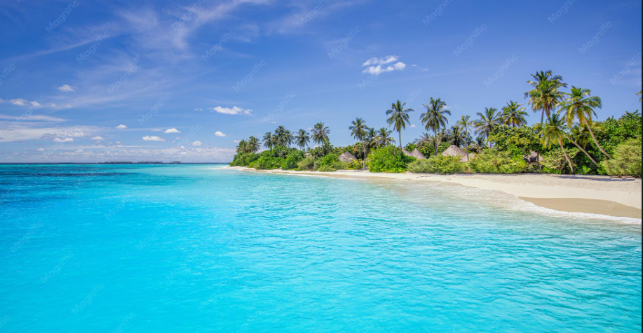 Brave Leadership, Bold Growth: The Bahamas’ Next Chapter
