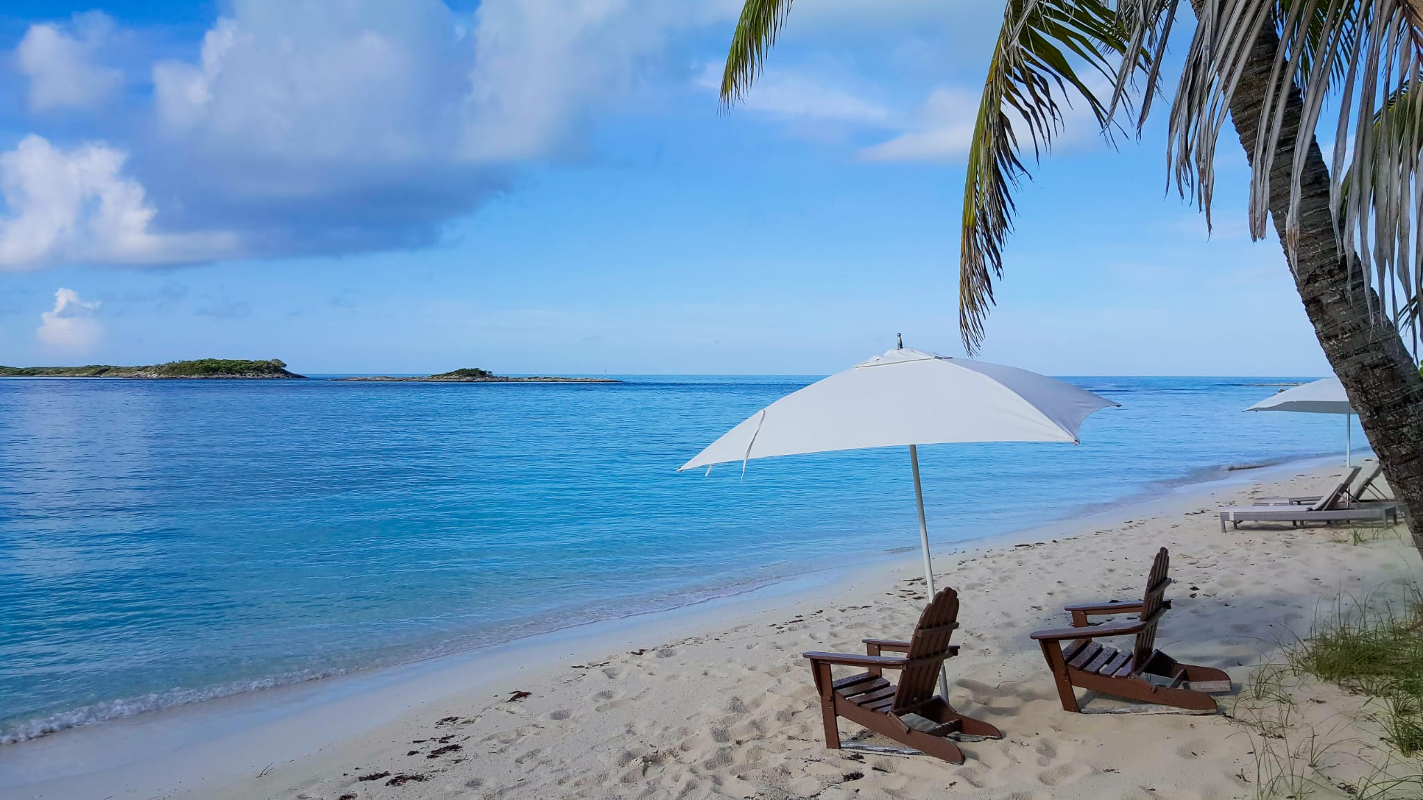 A quiet Bahamian beach with palm trees, umbrellas, and turquoise water
